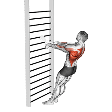 bodyweight standing row with towel