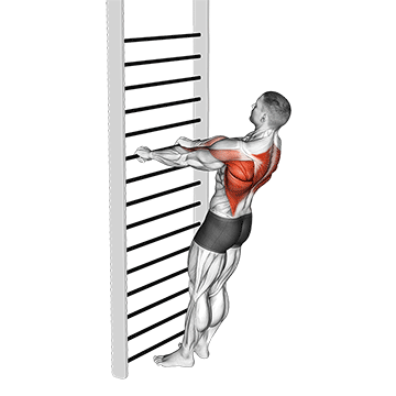 bodyweight standing row