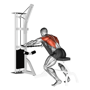 cable decline seated wide grip row