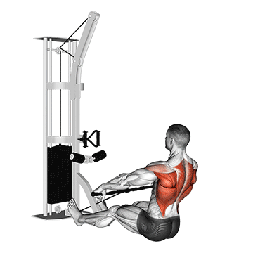 cable floor seated wide grip row