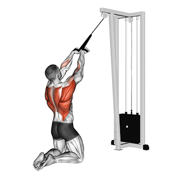 cable high row kneeling
