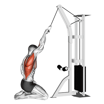 cable one arm straight back high row kneeling