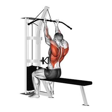 cable reverse grip straight back seated high row