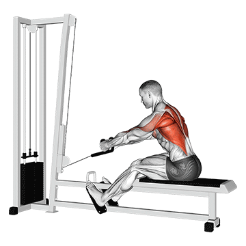 cable rope elevated seated row