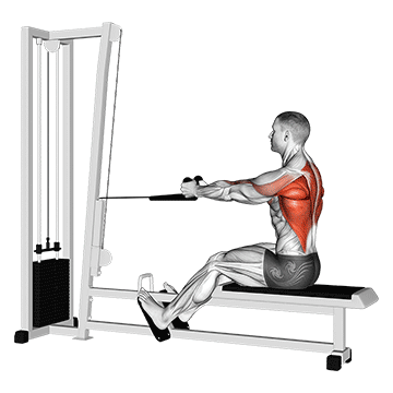 seated cable row