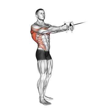 cable standing twist row v bar