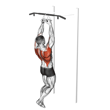 chin ups narrow parallel grip