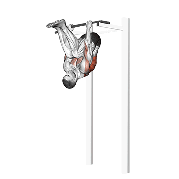 inverted row v2