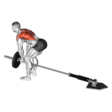 lever bent over row with v bar