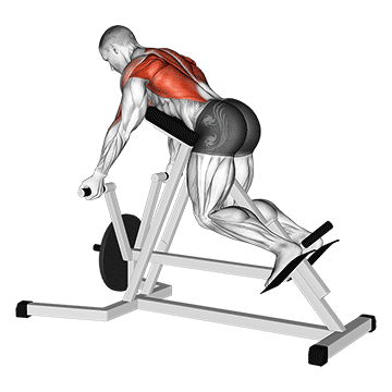 lever reverse t bar row