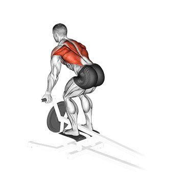 lever t bar reverse grip row