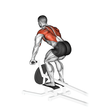 t-bar row